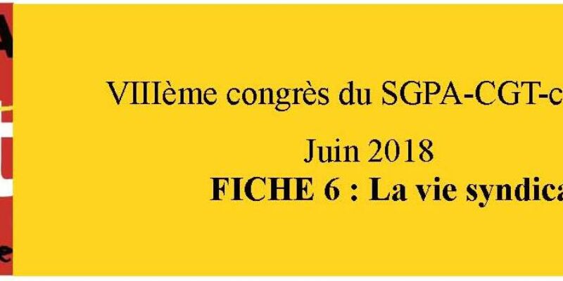 document d’orientation sgpa-cgt: fiche 6 La vie syndicale