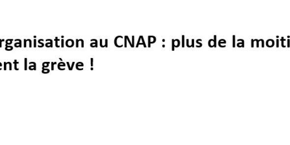 Réorganisation au CNAP : plus de la moitié des personnels votent la grève !