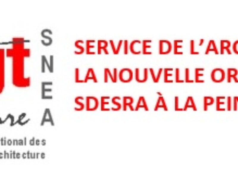 Service de l’architecture : la nouvelle organisation de la SDESRA à la peine